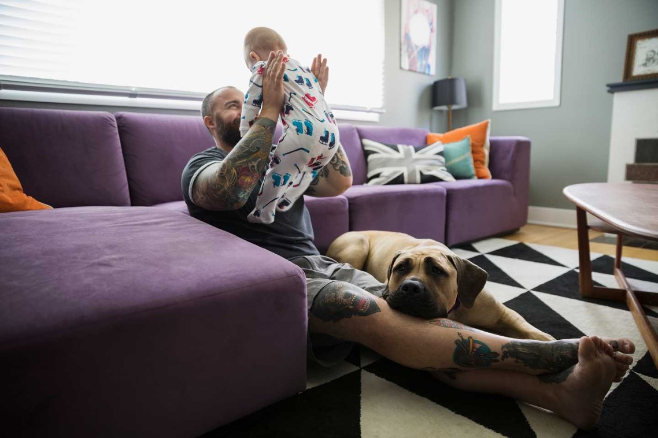 Ein Vater spielt im Wohnzimmer mit seinem Säugling, der Haushund liegt auf einem Kissen am Boden.