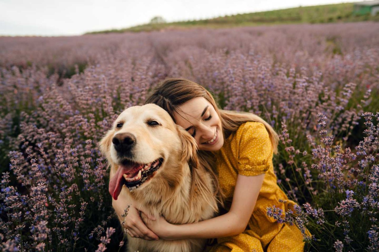 Eine junge Frau umarmt ihren Hund in einem Lavendelfeld. Beide zeigen sich vertraut.
