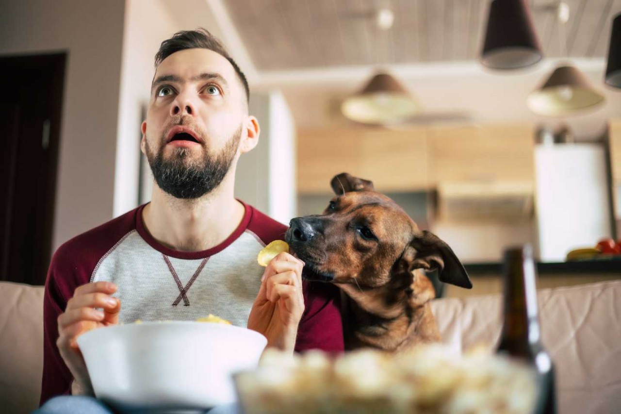 Während ein Mann wie gebannt auf den Fernseher starrt, beginnt der Hund die Chips zu fressen.