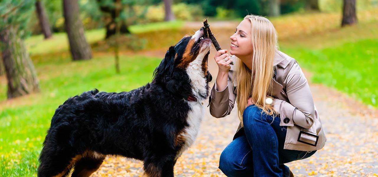 Frau mit Hund beim Spielen