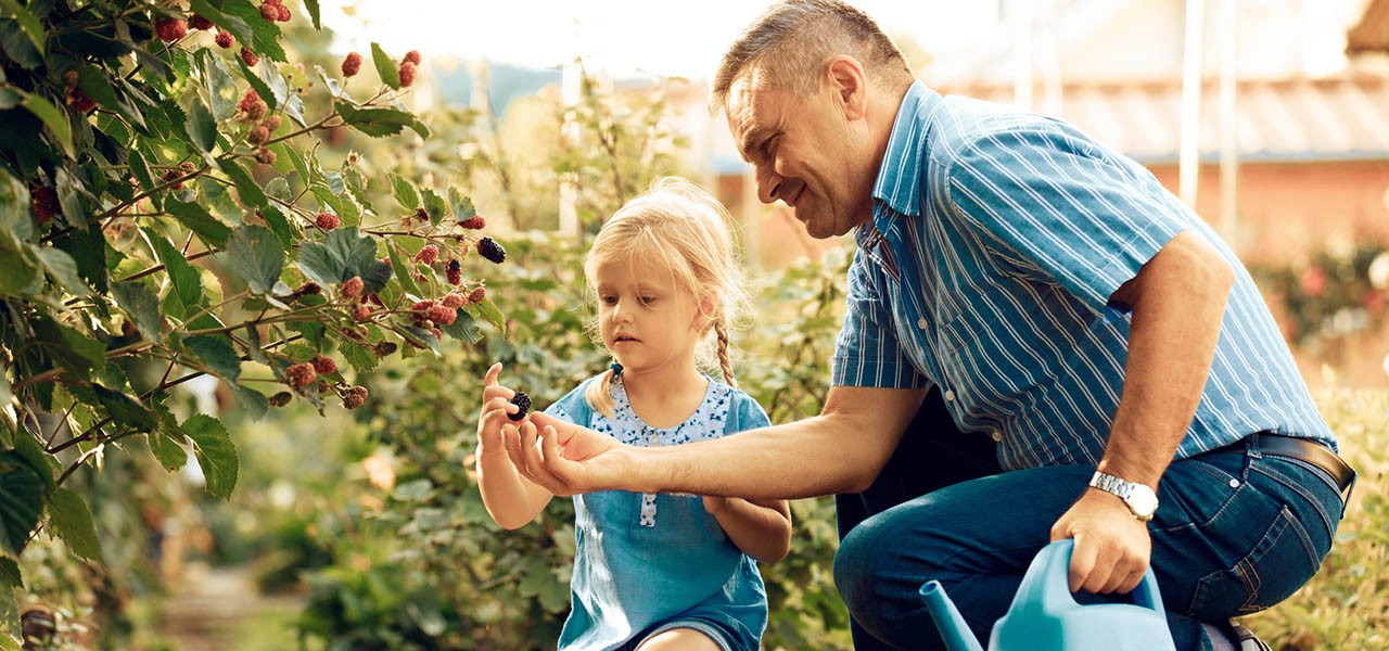 Sorgerechtsverfügung Vater und Tochter Garten Sorgerechtsverfügung Vater und Tochter Garten